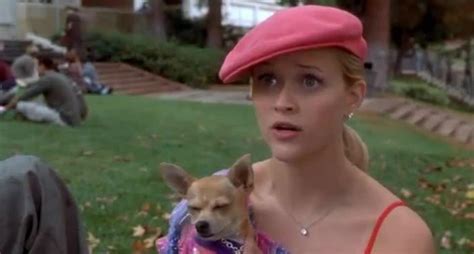 Legally Blonde Almost Had A Completely Different Ending The Courier Mail