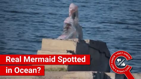 Fact Check Viral Video Shows Real Mermaid In The Ocean Caught On