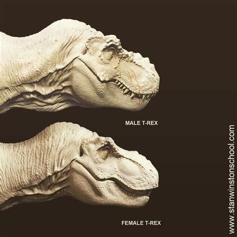 The Male And The Female T Rex Sculpture From Steven Spielbergs The Lost World Jurassic Park
