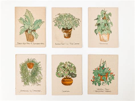 Plant Greeting Card Botanical Art Prints Dandeleau Etsy