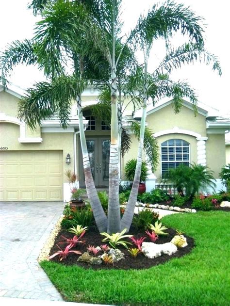 42 Palm Trees In The Front Yard Interior Design Ideas And Home