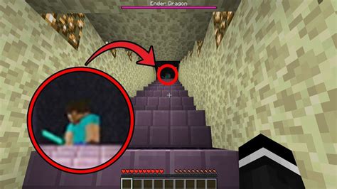 What does herobrine look like in real life? I followed Herobrine in to the End Portal in Minecraft ...