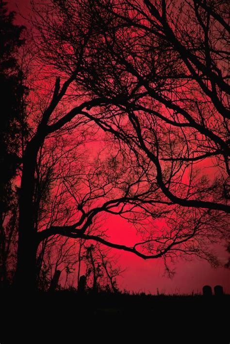 We did not find results for: Red Sky Pictures, Photos, and Images for Facebook, Tumblr ...