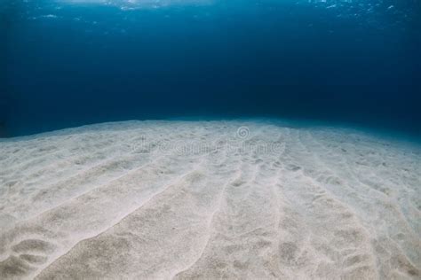 Tropical Ocean In The Deep With White Sand Underwater In Hawaii Stock