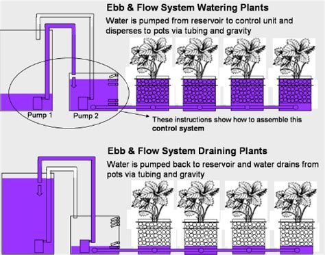 Build An Ebb And Flow Type Hydroponics System
