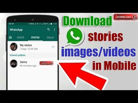 We have collected the best collection for you. How To Download Friends WhatsApp Status Image and Video ...