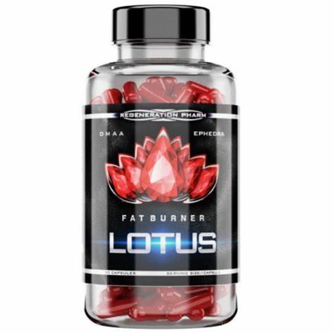 Липотропики жиросжигатели купить в Regeneration Pharm Lotus Black 90 капсул Жиросжигатели купить в Санкт Regeneration Pharm Lotus Black 90 капсул Жиросжигатели купить в Санкт Липотропики жиросжигатели купить в