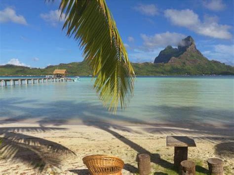 Eden Beach Hotel Bora Bora Bora Bora Island 2024 Updated Prices Deals