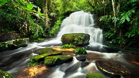 Desktop Wallpapers Nature Waterfalls Forests Moss Stones 1920x1080