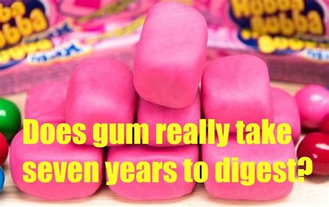 Does Gum Really Take Seven Years To Digest Gum Seventh Digestive System