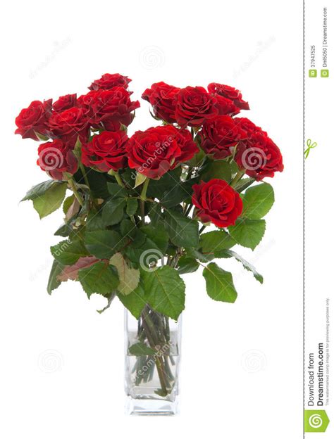 Bouquet Of Red Roses In Vase Isolated Stock Image Image