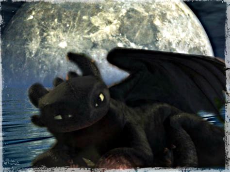 Toothless ﻿ Toothless The Dragon Wallpaper 33166288 Fanpop