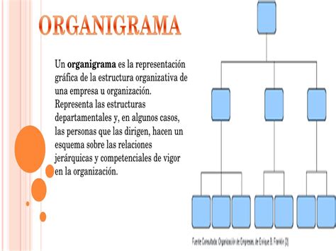An Organization Diagram Is Shown In Spanish