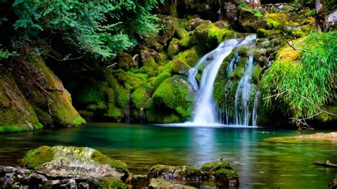 77 Nature Pictures For Desktop Background On Wallpapersafari