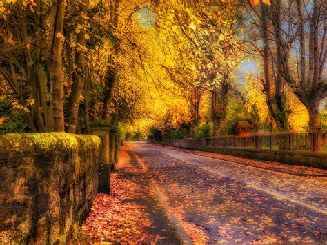 Wallpaper Gold Autumn Road Trees Yellow Leaves Hdr Style 1920x1440