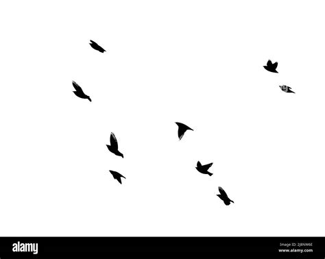 A Flock Of Flying Birds Free Birds Flying Seagulls Vector