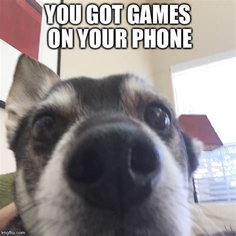 Got Games On Your Phone Meme Portal Tutorials