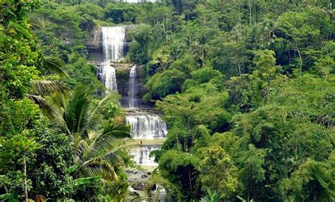 Objek wisata dreamland terletak di desa p ancasan kecamatan ajibarang, kota purwokerto kabupa. 5 Tempat Wisata di Banyumas Yang Bisa Dikunjungi - Tempat Wisata