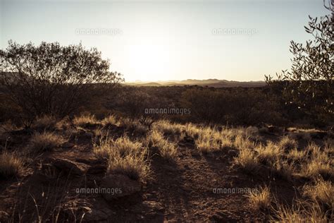 Scenic View Of Desert Against Clear Sky During Sunset 11100084889 の写真素材