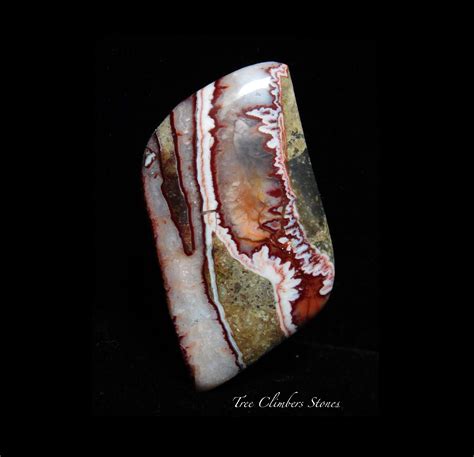 Forest Fire Plume Agate Cabochon Tree Climbers Stones By Lapidary