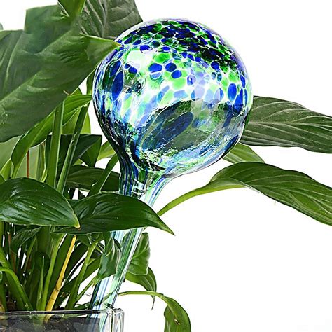3pcs Glass Self Watering Globes For Plants Usamerica Shop