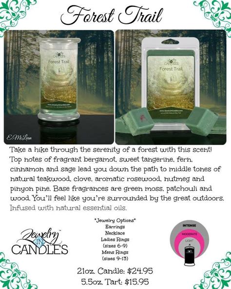 Forest Trail Fragrance Aromatic Forest Trail