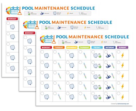 The Pool Care Cheat Sheet By Swim University Pool Care Pool Pool