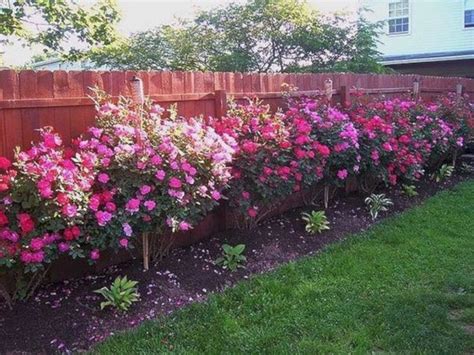 47 Amazing Rose Garden Ideas On This Year Rose Garden Landscape