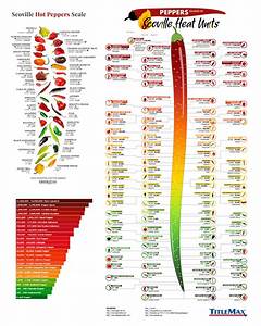 Infographic Scoville Pepper Scale