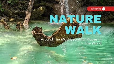 Nature Walkriver Hunt Youtube