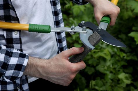 The Ultimate Guide To Sharpening Garden Tools
