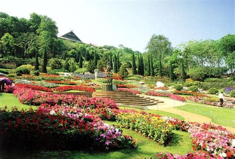 Les Incontournables De Chiang Rai 4 Jours 3 Nuits Thaïlande