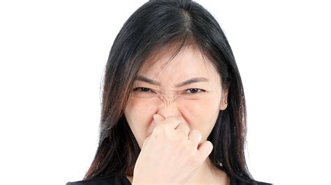 Heres Why Your Nose May Be Twitching