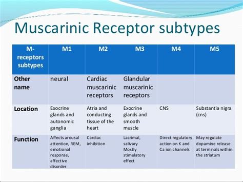 Muscarinic Receptors Location Mnemonic Autonomic Nervous System