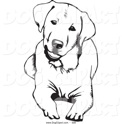 Clip Art Of A Happy And Cute And Curious Labrador Retriever Dog Lying
