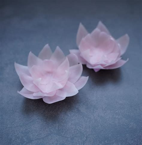 Paper Lotus Flower Template