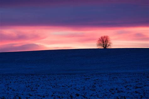 Wallpaper Blue Winter Sunset Snow Cold Tree Field Canon