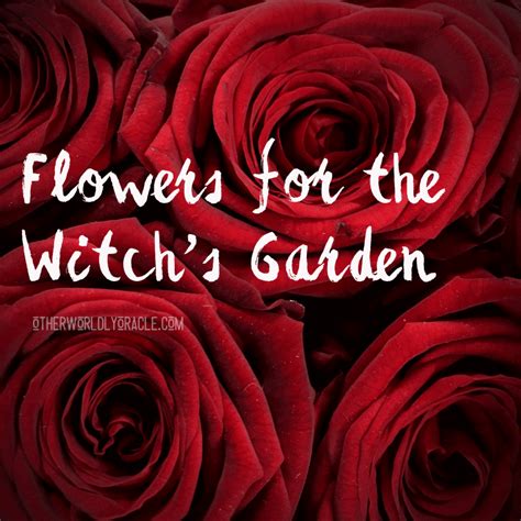 Magickal Plants Essential Flowers For The Witches Garden