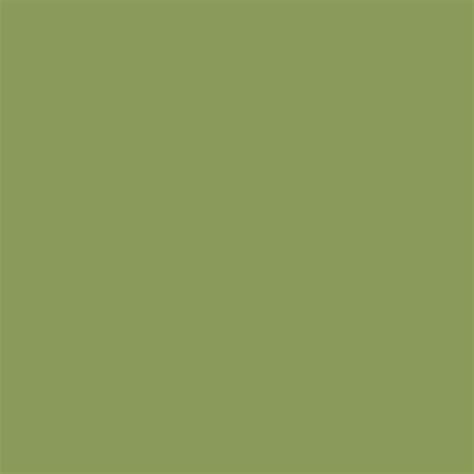 2048x2048 Moss Green Solid Color Background