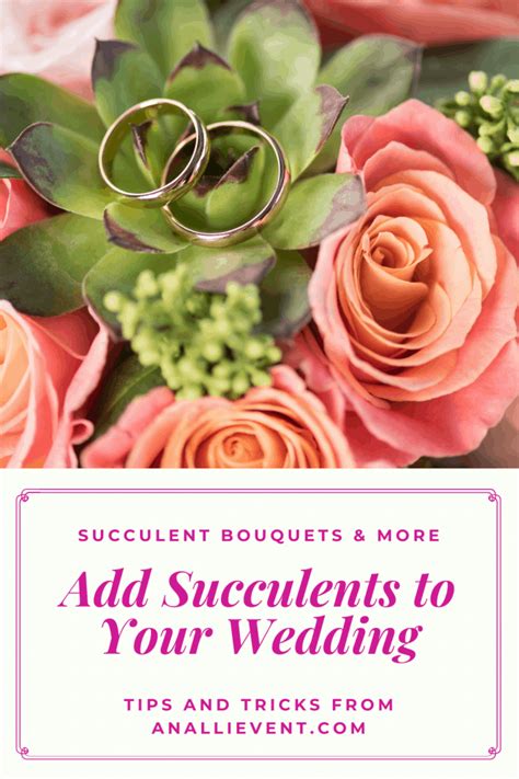 We did not find results for: Succulent Bouquets Are Unique and Beautiful - An Alli Event