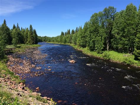 Find the perfect sweden nature stock photos and editorial news pictures from getty images. Summer in Sweden #nature #scenery #amateur #sweden #härjed ...