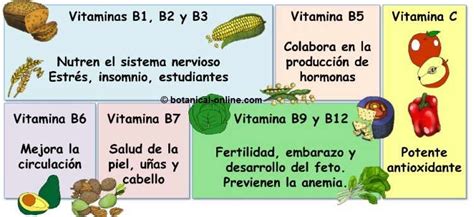 Blog Bioquimica Coenzimas Y Vitaminas
