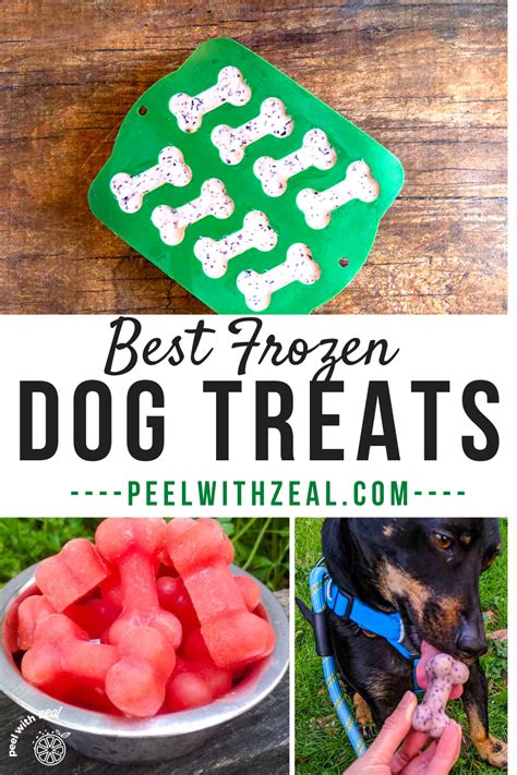 10 Best Frozen Dog Treat Recipes In 2023 Frozen Dog Frosty Paws