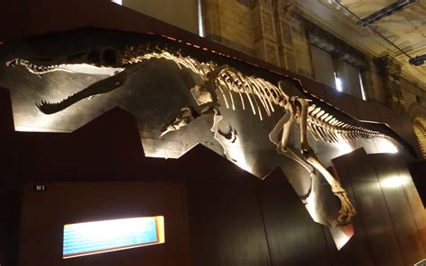 Review Londons Natural History Museum Dinosaur Exhibit Travelsort