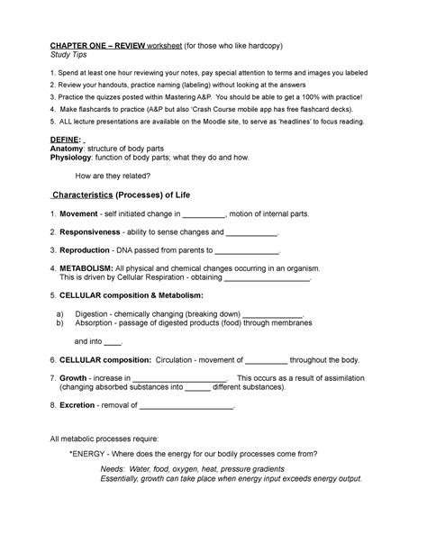 Anatomy Chapter 1 Handout And Review Material Chapter One Review