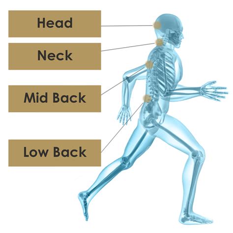 Sports and spine chiropractic assists patients in maintaining optimal health while avoiding unnecessary drugs or surgery. Holmes Spine & Sport | Chiropractic & Therapy Care In ...