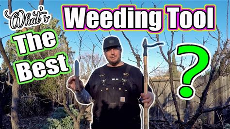 Below, we have compiled our picks for the best weed removal tools. What Is The Best Weed Removing Tool For Gardeners? [ Part ...