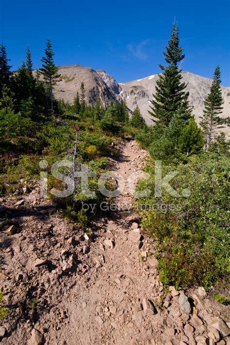 Rugged Mountain Hiking Trail On Way To Summit Mt Sopris Stock Photo