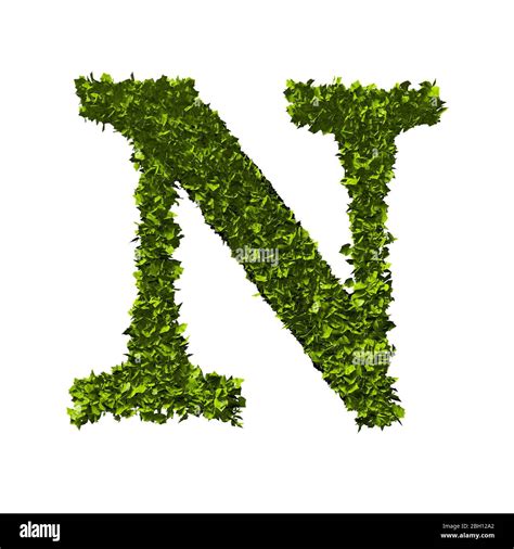 Floral Font Letter N Hi Res Stock Photography And Images Alamy
