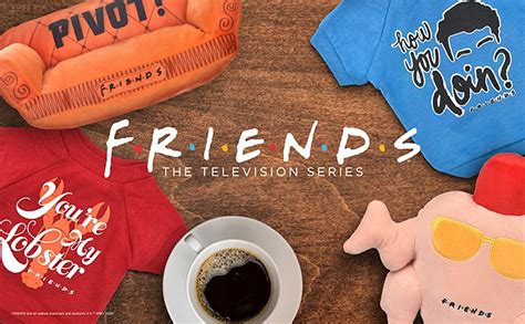 Friends The Tv Show Friends Dog Toy Orange Sofa Pivot Couch From